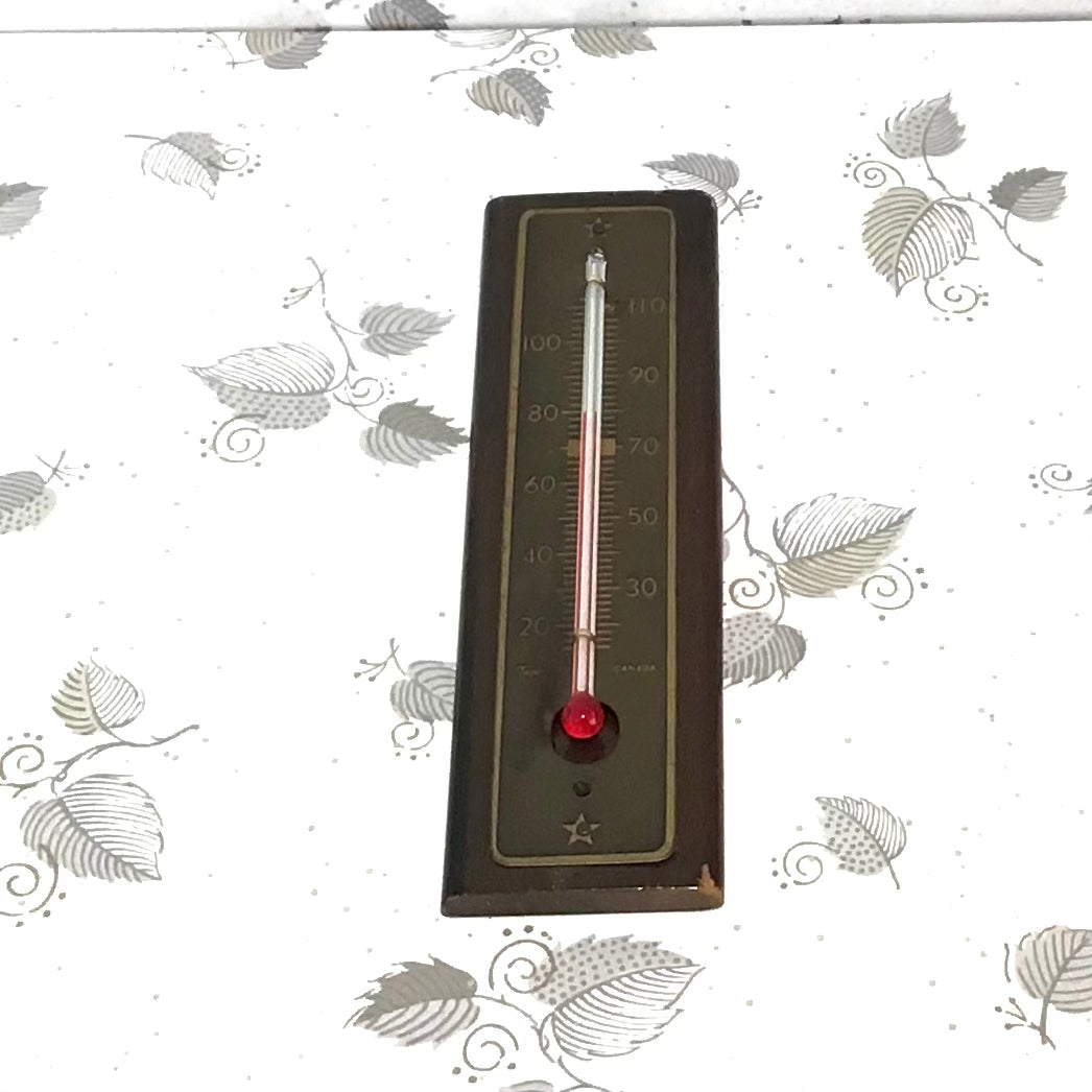 Taylor Thermometer ethel20th