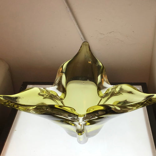 Avocado Green Stretch Glass