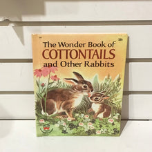 Load image into Gallery viewer, Classic Children’s Books