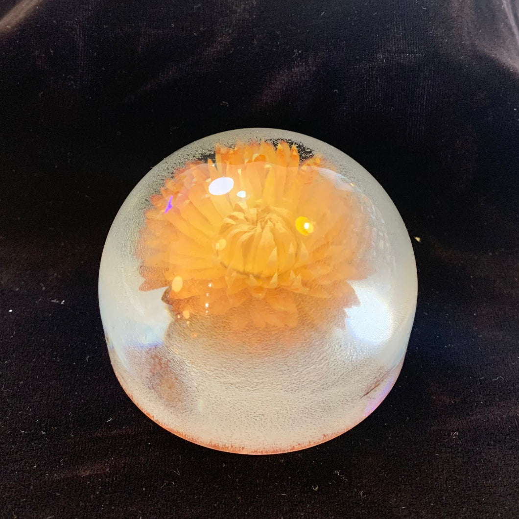 Resin Paperweight