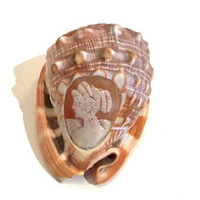 Load image into Gallery viewer, Italian Conch Shell with Carved Cameo