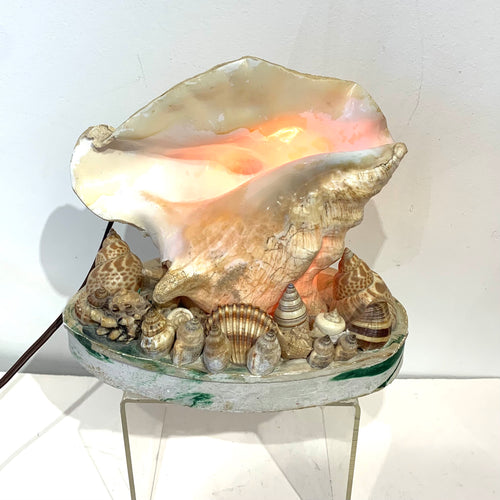 Vintage Souvenir Shell Lamps