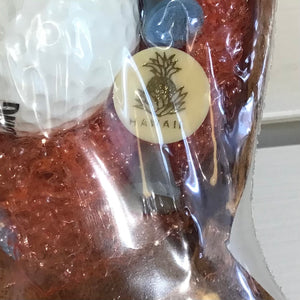 Hawaii Golfing Souvenir Set