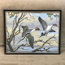 Load image into Gallery viewer, Vintage Flying Ducks Paint by Numbers