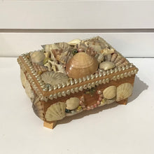 Load image into Gallery viewer, Souvenir Shell Jewelry Box