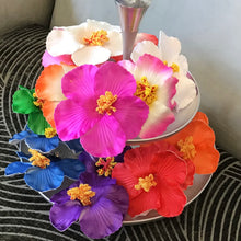 Load image into Gallery viewer, Hawaiian Hair Flowers