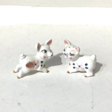Load image into Gallery viewer, Vintage Piggy Salt &amp; Pepper Set