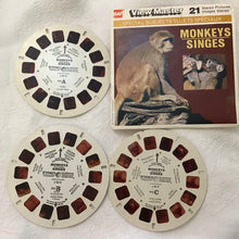 Load image into Gallery viewer, Vintage View-masters, Reels &amp; More
