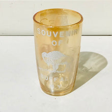 Load image into Gallery viewer, Vintage Souvenir of Buffalo Carnival Glass Tumbler