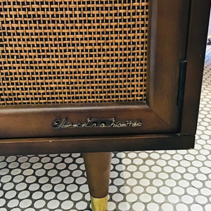 Vintage Record Storage Cabinet