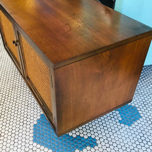 Vintage Record Storage Cabinet