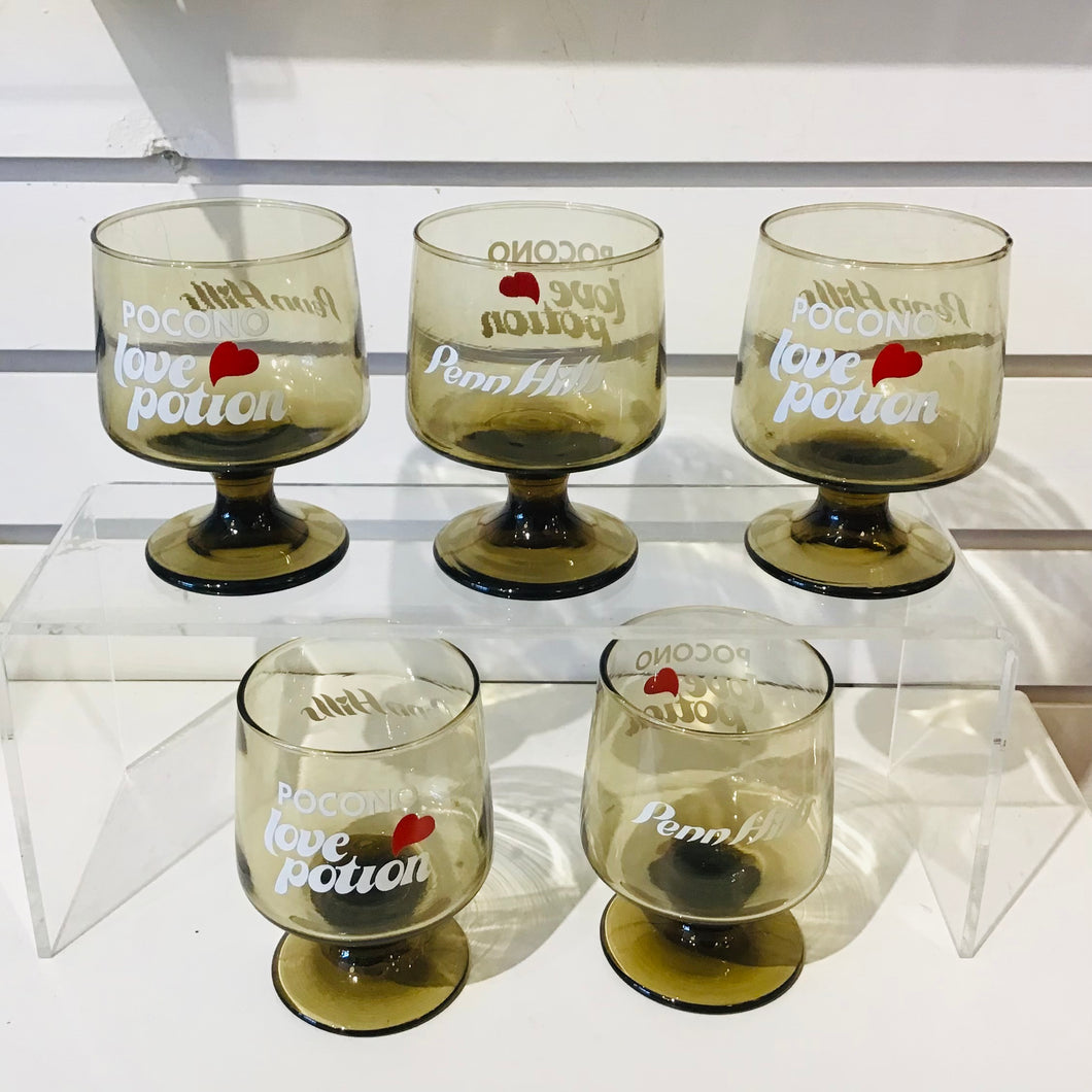 Vintage Souvenir of Poconos Love Potion Goblets
