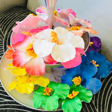Load image into Gallery viewer, Hawaiian Hair Flowers