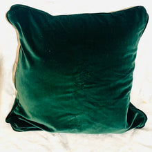 Load image into Gallery viewer, Designer Fabric Throw Pillows