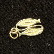Load image into Gallery viewer, Pisces Pendants