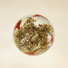 Load image into Gallery viewer, Angel Fish Glass Paperweight