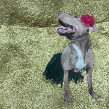 Load image into Gallery viewer, Mixed Media Hawaiian Bull Terrier Art