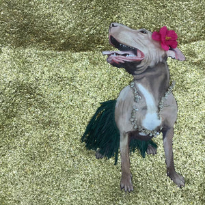 Mixed Media Hawaiian Bull Terrier Art