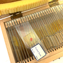 Load image into Gallery viewer, Vintage Microscope Prepared Slide Set