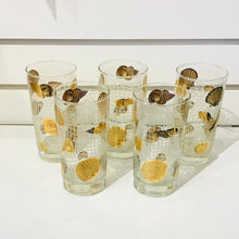 Load image into Gallery viewer, Set of 5 Culver Sea Shell Highball Glasses