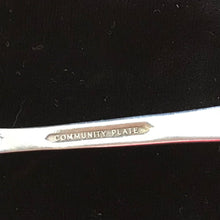 Load image into Gallery viewer, Coronation by Oneida Community Plate Flatware Set