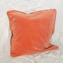 Load image into Gallery viewer, Designer Fabric Throw Pillows