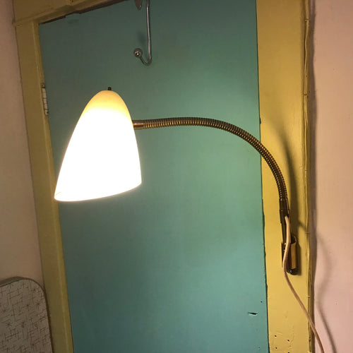 Wall Mounted Gooseneck Lamp