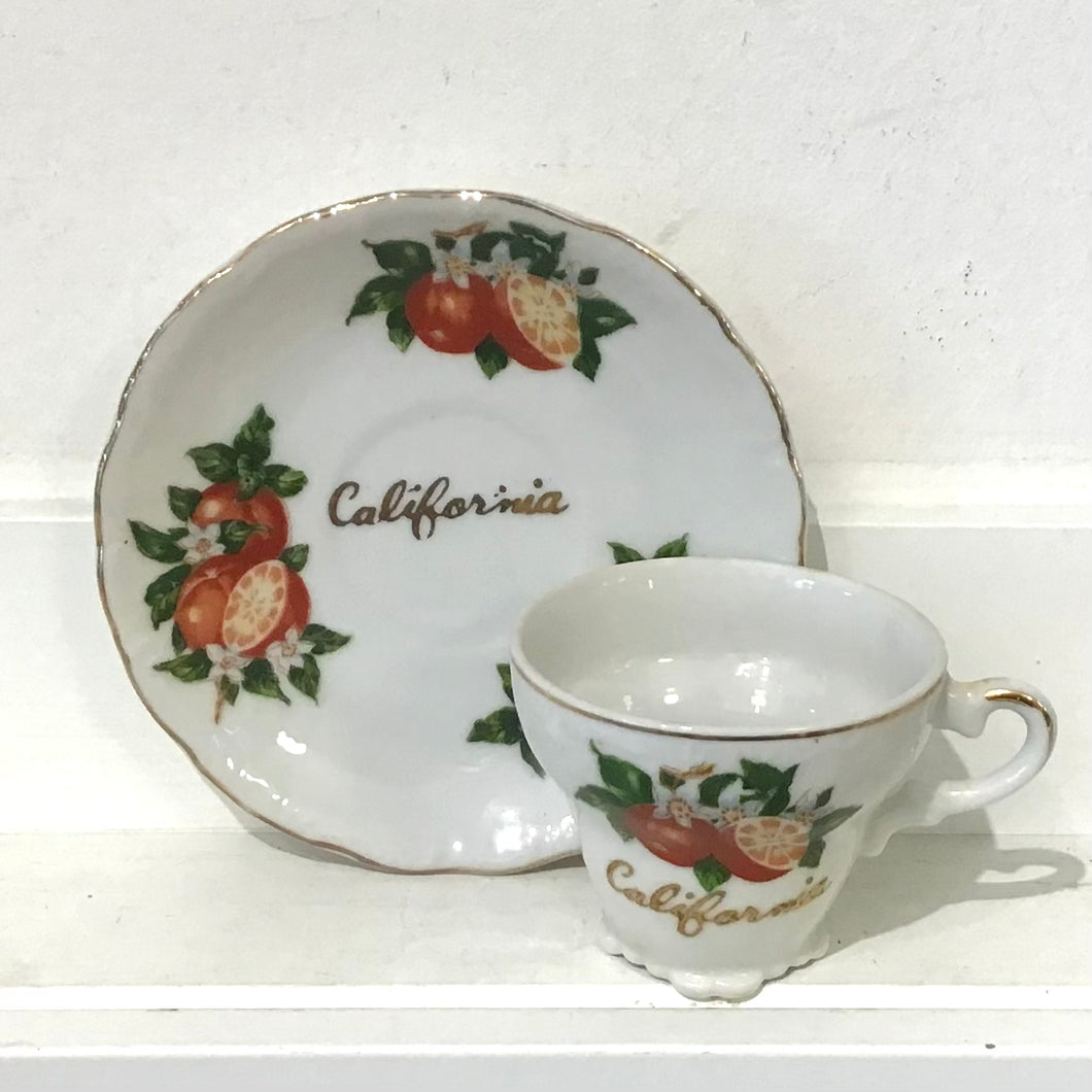 Vintage California Souvenir Teacup & Saucer