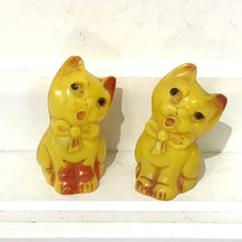 Load image into Gallery viewer, Vintage Kitty Salt &amp; Pepper set