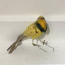 Load image into Gallery viewer, Vintage Bird Ornaments