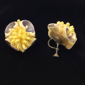 Vintage Shell Clip On Earrings